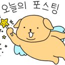 스테이고재325 이미지