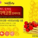 레드토마토