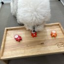 대진유치원 이미지