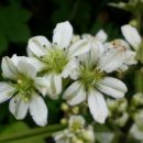 행복한선물 이미지