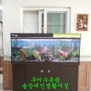 상주연세실버타운