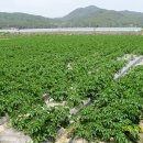 재구농장 이미지