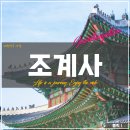 외무장마을(보천사 옆) | 대한민국 사찰 서울 <조계사> 정보 (입장료, 주차장, 맛집, 카페)