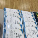 베스트태권도장 | 🥋 양천구연합태권도장 가을운동회 후기 | 승패보다 “함께 성장” [양천구태권도] 신정동*목동*신월동...