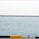 나그네길 이미지