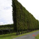 김세환 농장 이미지