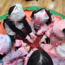 기흥해맑은어린이집 네이버블로그