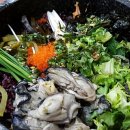 포항물회 통영굴밥 이미지