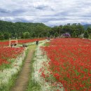 X-게임장 이미지