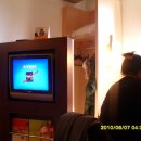 호텔세느 이미지