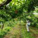 전남대학교 식물방역대학원 이미지