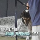 맥스켄넬 이미지