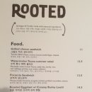 루티드(Rooted) 이미지