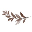 울알라애견미용 이미지