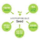 비젼스쿨 | 씨드스쿨 봉사활동 2025 후기 및 커리큘럼과 정보