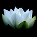 버스정류장 07-263 이미지