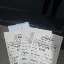 소시오도넛 | 4박 5일 제주 여행 후기.. Day1, Day2 (with 비, 사고)