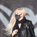 로제헤어 이미지