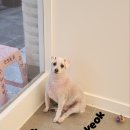 보리미용실 이미지