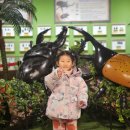 여주박물관화장실 | 여주 아이랑 갈만한곳 여주곤충박물관 재방문후기