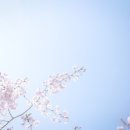 삼선병설유치원 | 성북구 예비초등 어머님 필독~돈암동 근방의 공립초등학교/ 사립초등학교 근황, 총정리.