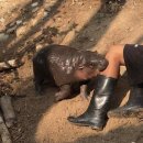 치킨파크 이미지