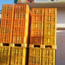 배골농장 이미지