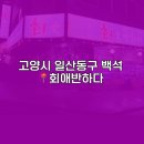 오케이전집 | 기대 안 했는데 반해버린 백석 회애반하다 솔직후기 - (한줄평,매장가격,포장가격,메뉴판,위치,구성사진...