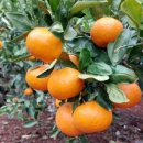 하원농장 이미지