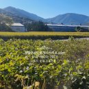 일양공인중개사사무소 이미지