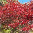 외송마을회관 이미지