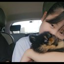 생활비100만원살기) 무더위에 무지출^^ 이미지