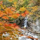 (주)고려창건 이미지