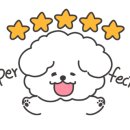신아투어 이미지