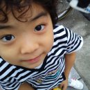 율 컴퍼니 Daum카페