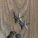 안나앤폴 이미지