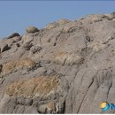 동거차도 구상 페페라이트 이미지