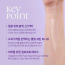브이에디션