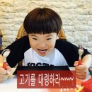 상봉동-050 | 진주 맛집 / 미지인 (소고기 핵 꿀맛)