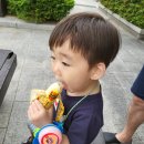 헬로카봇 시즌6 어린이 뮤지컬 흔들흔들 댄스파티-안산 예술의 전당 관람후기
