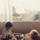 탱글이네
