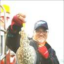 서해 보령앞바다 갑오징어 주꾸미 막받이 가을 걷이가 한창입니다 이미지