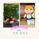 영덕 아이가 좋아하고 어른도 좋아하는 영덕 목재 문화체험장 다자녀할인이 되는 키즈카페