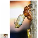 중부-현장-중부-2007 이미지