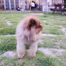 개프탑라운지 이미지