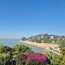 화원동산 전망대 | 중국 하문 (샤먼) 2일차/ 추울 때 가면 좋은 여행지 중국속의 유럽 [고랑서, 일광암, 숙장화원]