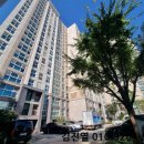 청담-142 이미지