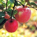 명장2동-9 이미지