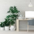 플랜테리어 홈가드닝 이미지