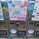 병은우사 이미지